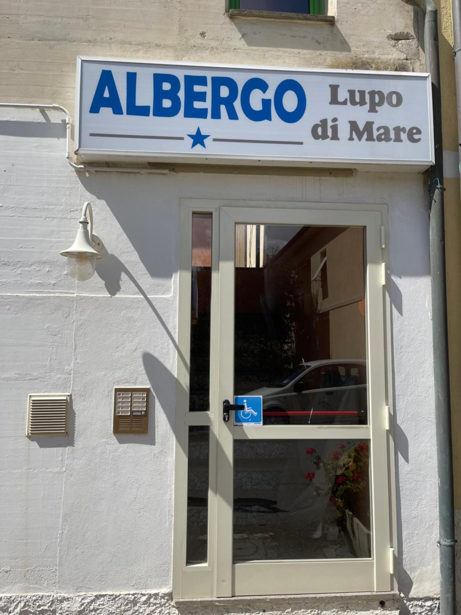 Hotel Lupo Di Mare 马里纳-迪卡斯塔涅托 外观 照片
